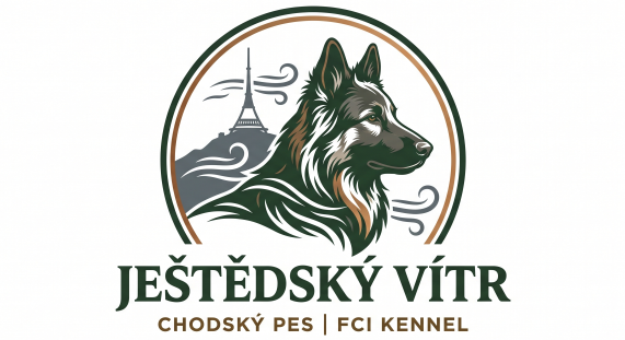 Ještědský vítr Logo